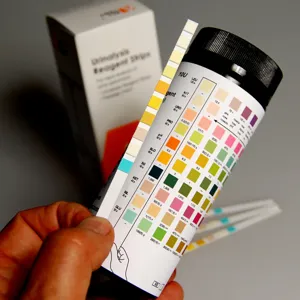 Reading a Urine Testing Strip
